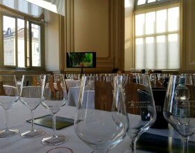 vendemmia-torino-2018-19