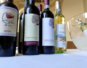 vendemmia-torino-2018-15