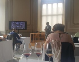 vendemmia-torino-2018-14