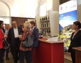 vendemmia-torino-2018-20